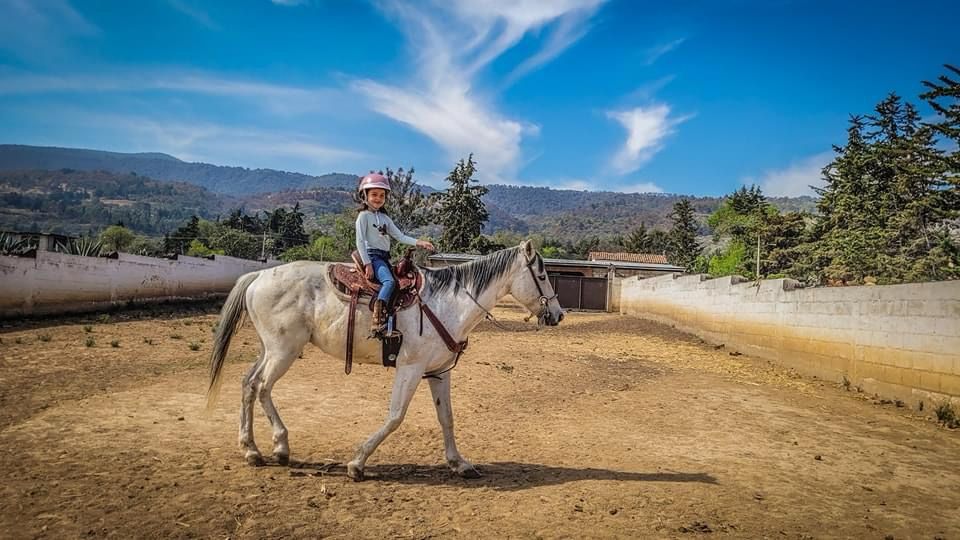 IMG-20250308-WA0019-1