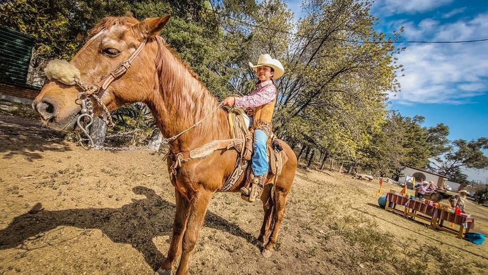 IMG-20250308-WA0020-1